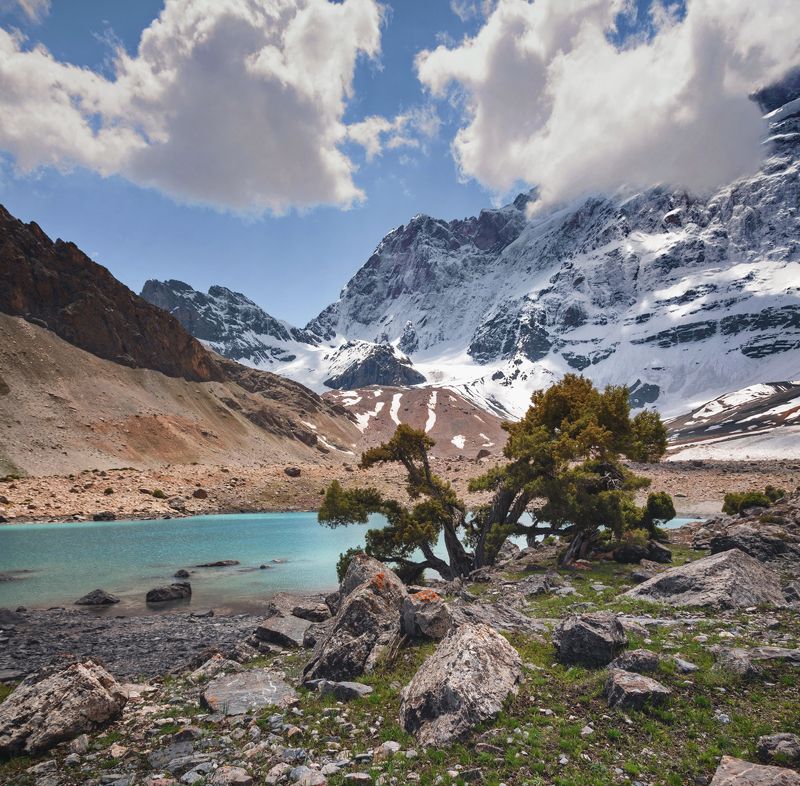 таджикистан, фанские горы, утро, дерево арча, озеро, стена мирали Фанские горыphoto preview