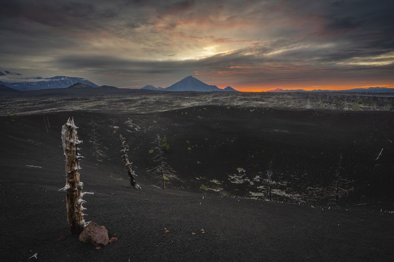 камчатка, рассвет, толбачик, мертвый лес, вулканический песок Вулканические дюны с мертвыми деревьями. На горизонте вулкан Толбачик. Рассвет.photo preview