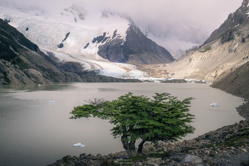Аргентина, Патагония, лагуна,Торре, ледник, горы С видом на ледникphoto preview