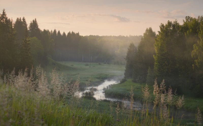 река лемовжа, ленинградская область, туман на реке Утро на реке Лемовжаphoto preview
