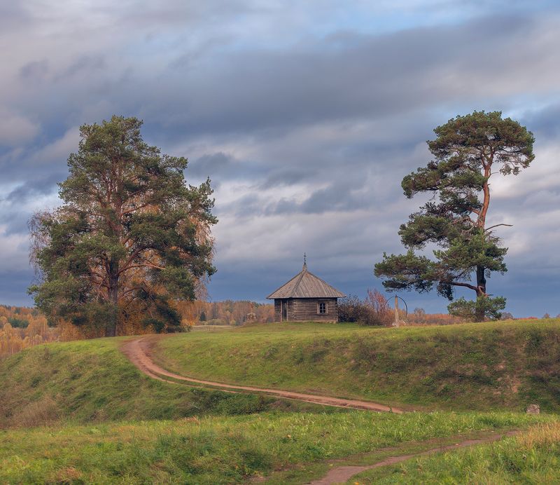 псковская обл,михайловское Савкина горкаphoto preview