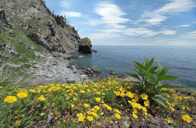 татарский пролив, дальний восток Жёлтая дорогаphoto preview