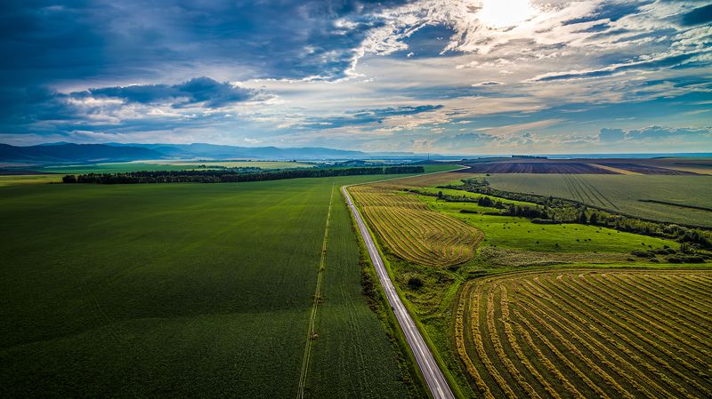 поля алтая Поля Алтаяphoto preview