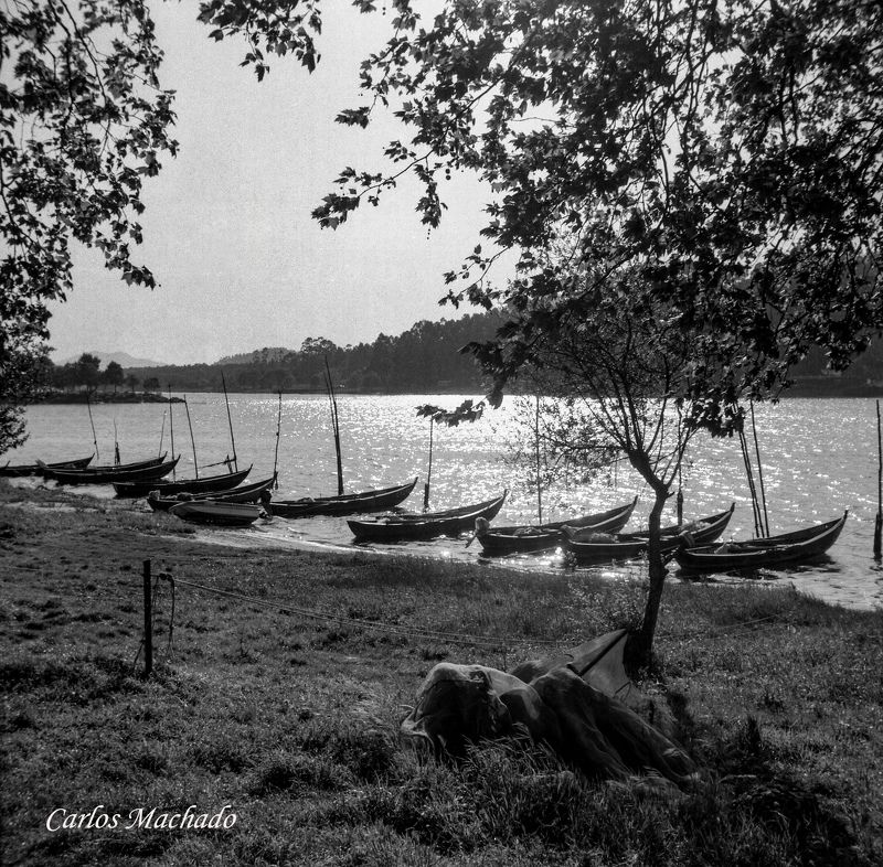 Landscapes, Black & White, Nature Fish boatsphoto preview