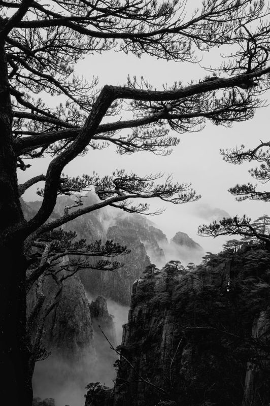 Huangshan mountainphoto preview