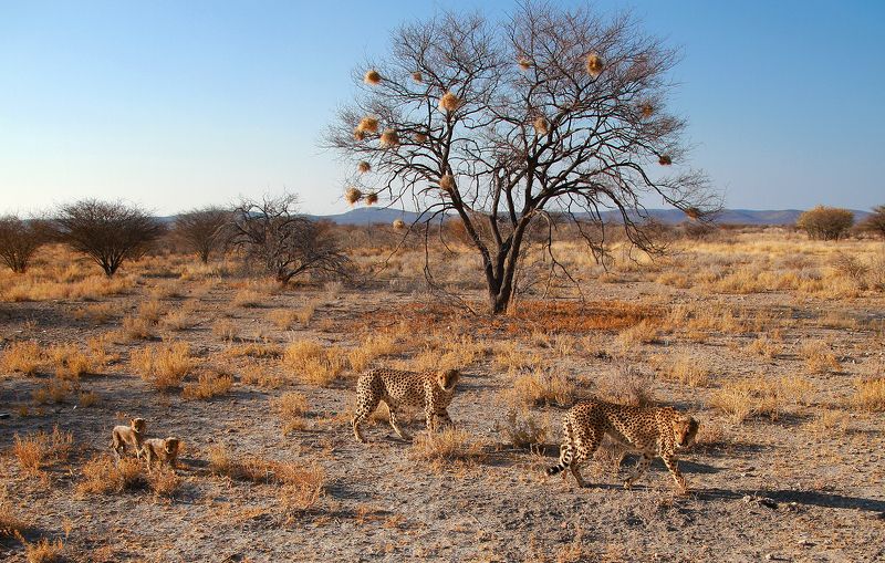 Незаметные. Ну почти...)photo preview