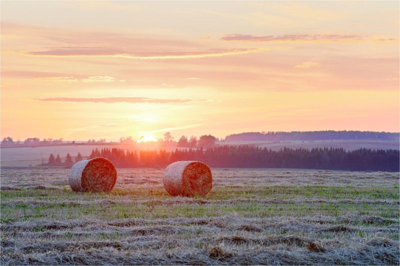 Закат над полемphoto preview
