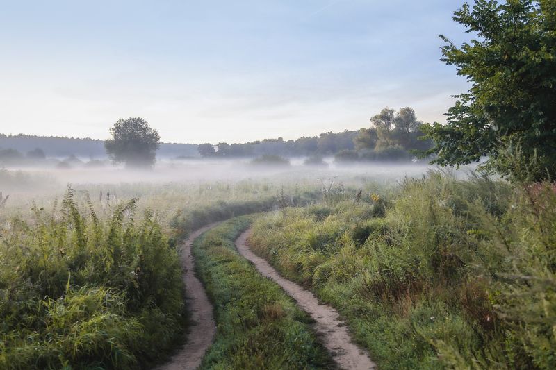 Владимир, город Владимир, Золотое кольцо России, природа России, туман, утро Дорога сквозь туманphoto preview