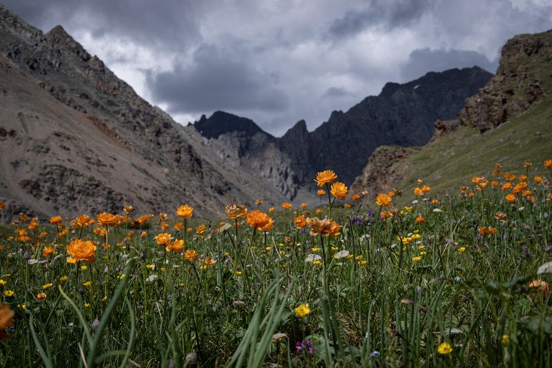 в долине между скалphoto preview