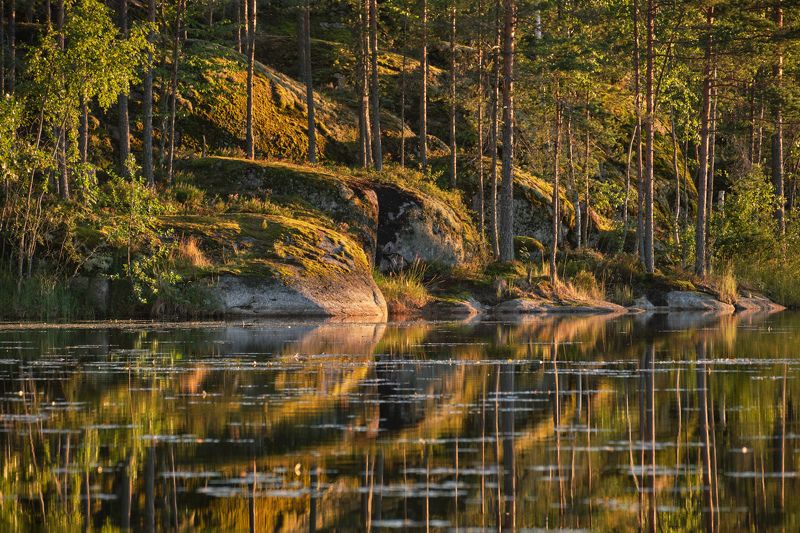карелия,ладога,травкино,озеро,скалы,закат Золотистые скалы фото превью
