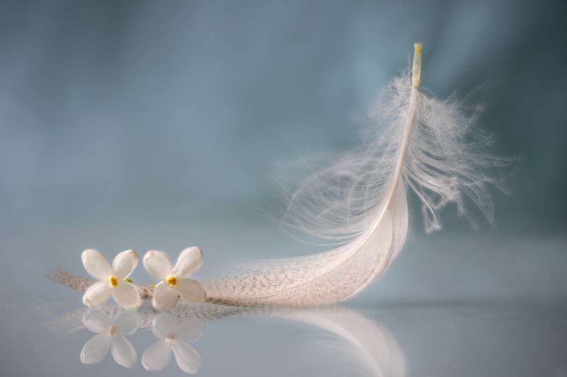 close-up Созерцательно фото превью