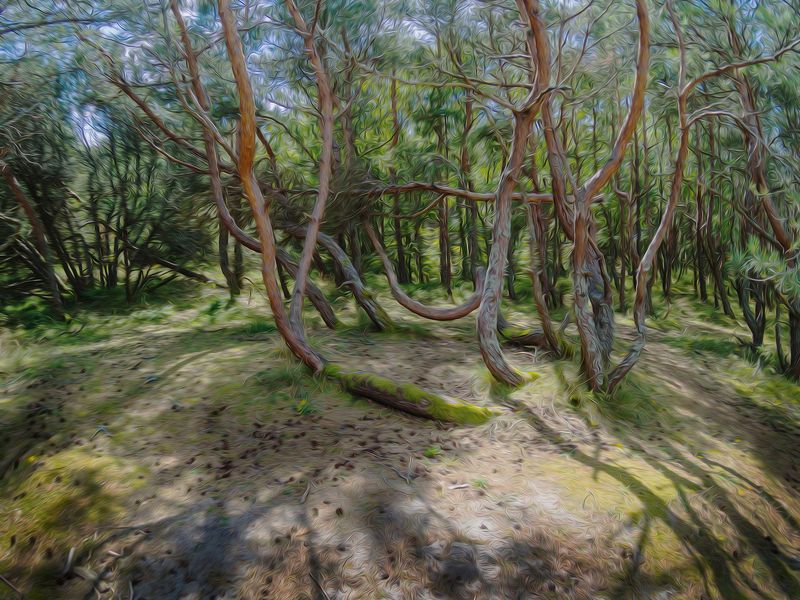 Полуденный танец.photo preview