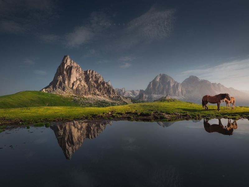 dolomiti, dolomites, sunrise, landscape, sky, sun, mountains, clouds, trees, italy, reflections, horses, calm, morning Mother and Childphoto preview
