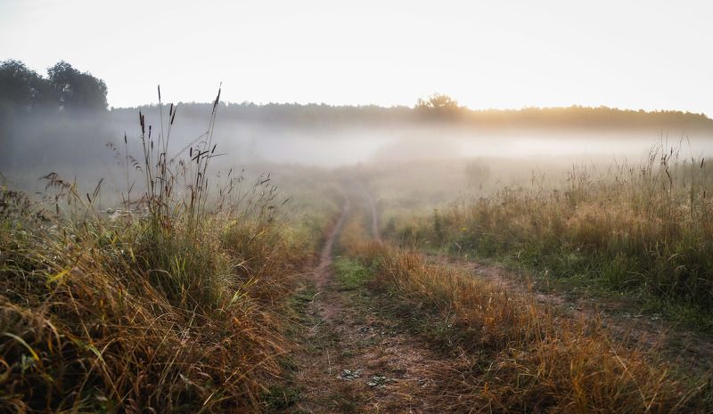 Владимир, город Владимир, Золотое кольцо России, природа России, туман, утро Первое дыхание осени...photo preview