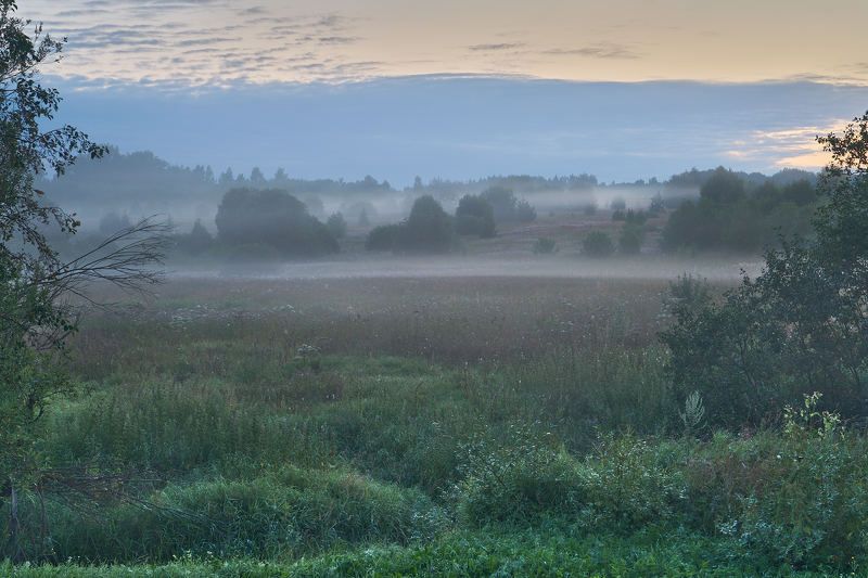 Летние туманы фото превью