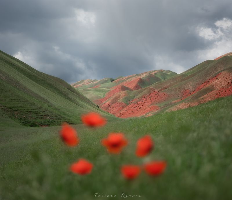 Цветные горы Кыргызстанаphoto preview