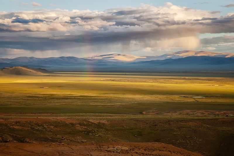 Алтайские степиphoto preview