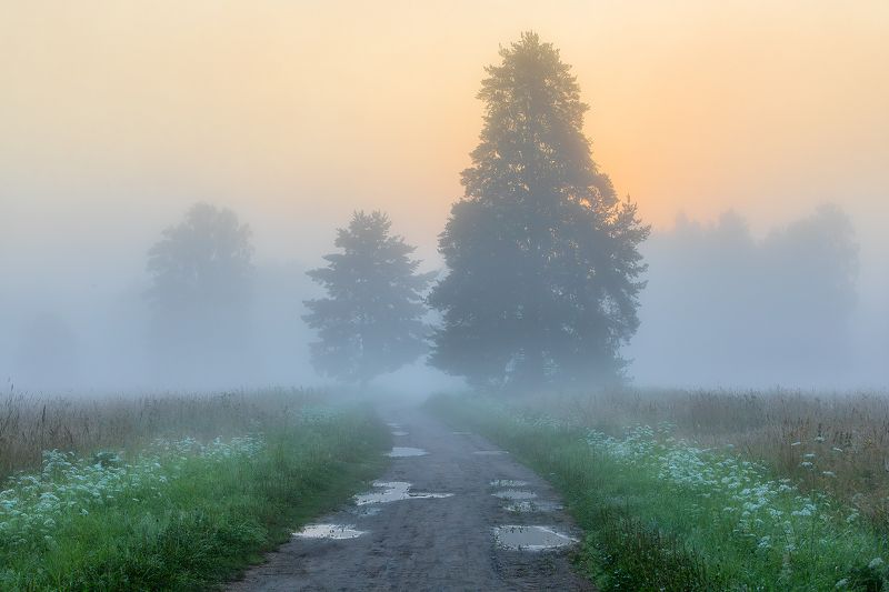 Дорога в туманное утро.photo preview