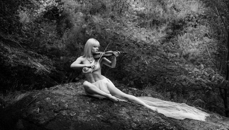 Скрипкаphoto preview