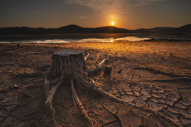 landscape, nature, scenery, summer, sunrise, morning, dawn, lake, reflection, mountain, trees, пейзаж, рассвет, горы, озеро A Tale of Oxymoron фото превью