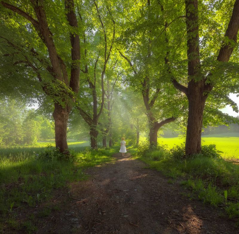 Тейоphoto preview