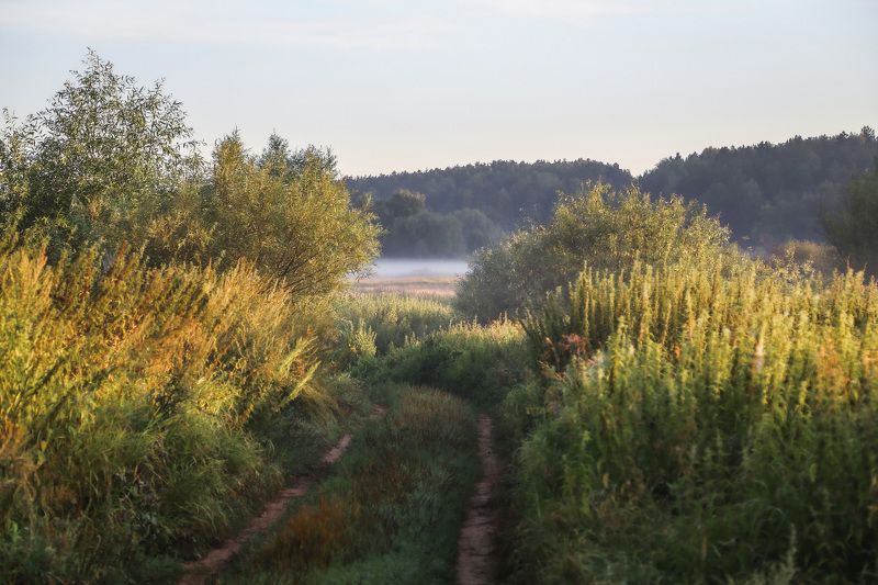 Владимир, город Владимир, Золотое кольцо России, природа России, туман, утро Рассвелоphoto preview