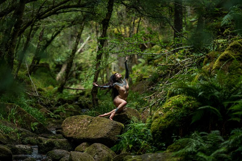 Forrest nymphphoto preview