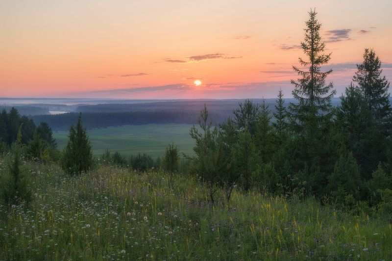 Раннее утро на Сырьянском увалеphoto preview