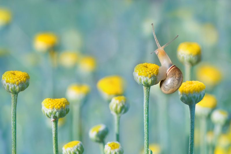 *Майское утроphoto preview