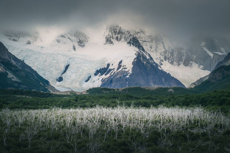 патагония, аргентина, торре, лагуна, лес, горы, снег В Патагонииphoto preview