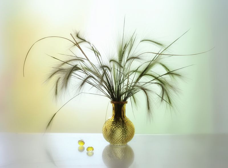 натюрморт,композиция,свет,лето,букет,ковыль ***photo preview