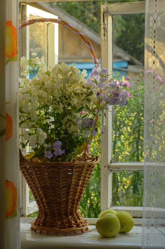 ... с яблоками.photo preview