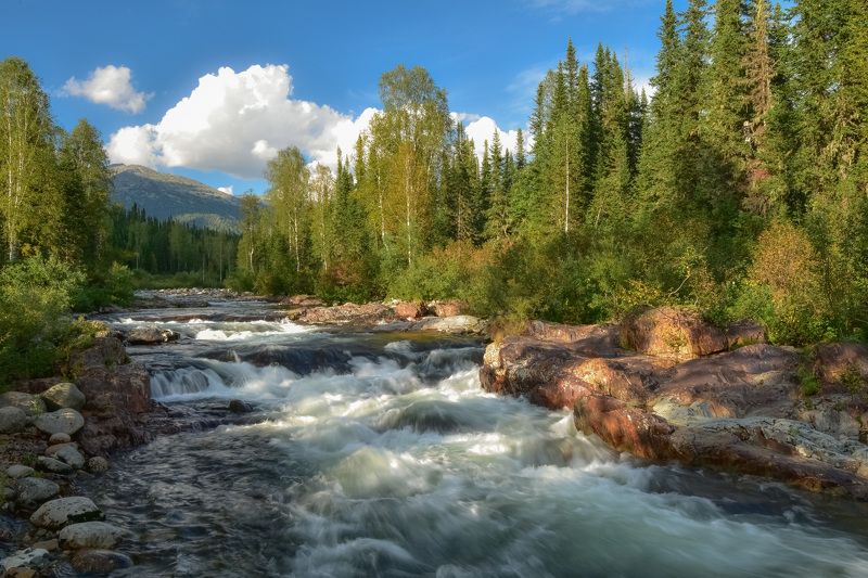 россия, хакасия, лето, река, казыр, пороги, камни, лес,горы Река Малый Казыр в Кузнецком Алатауphoto preview