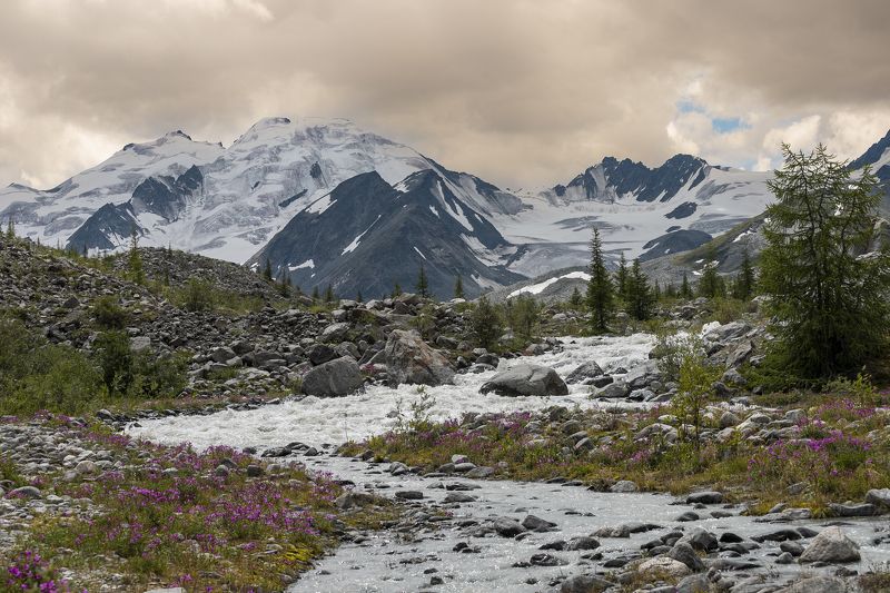 Талтура фото превью