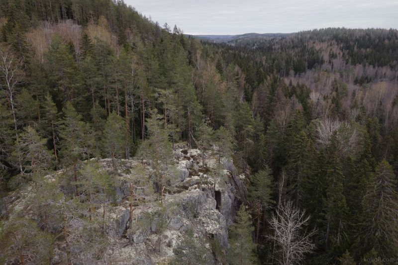 ленинградская область, в лесах под выборгом, карельский перешеек, карелия, скалы, дремучий лес Ранняя весна на севере Ленинградской областиphoto preview