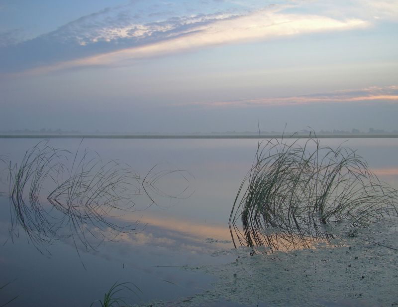 Рассветphoto preview