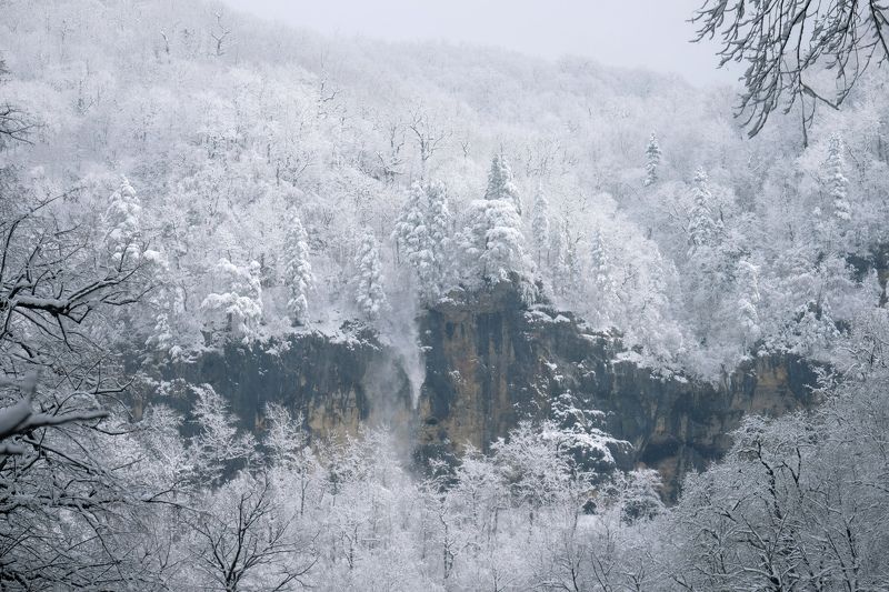 Мартовская Гуамка фото превью