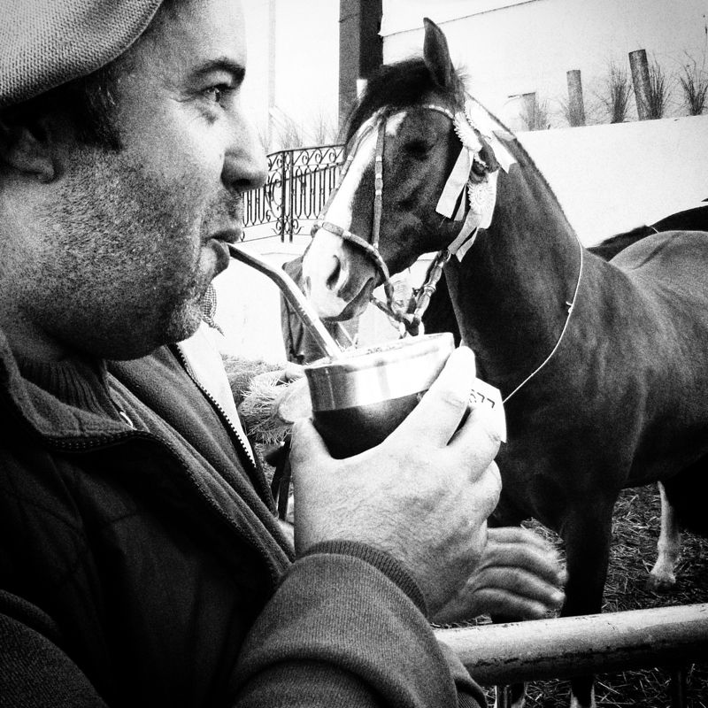 Gaucho and his prize horsephoto preview