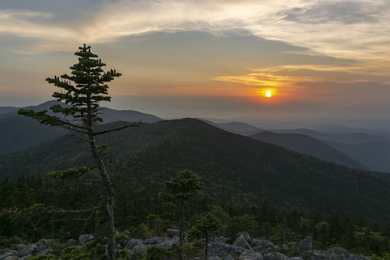 Закат, тайга, горы photo preview