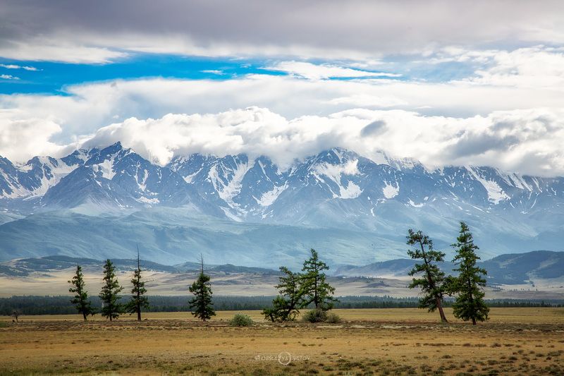 Рядыphoto preview