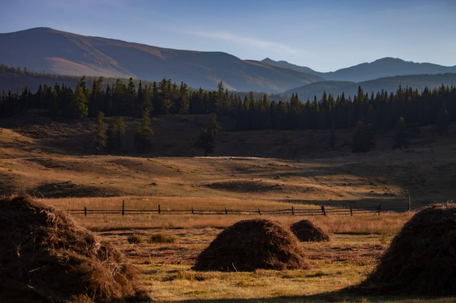 Автор: NIKIFOROVA KSENIA , NIKIFOROVA KSENIA