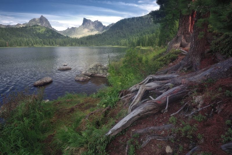 На берегу Светлогоphoto preview