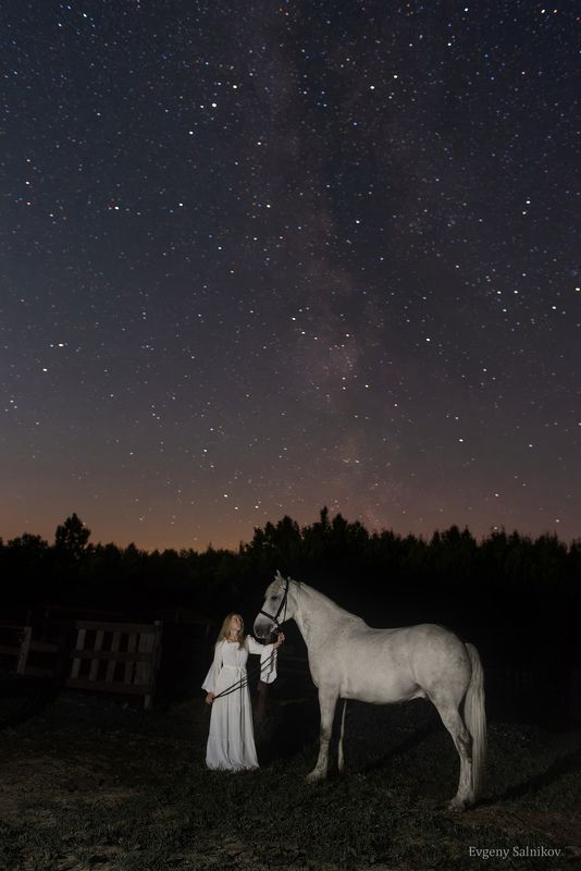 ночь август звезды звездное небо лошадь конь сириус млечный путь Под звёздами августа фото превью
