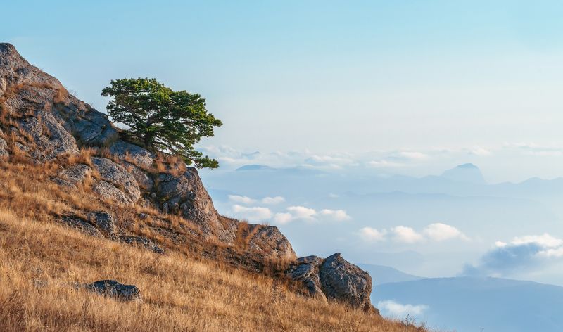 Выше облаковphoto preview