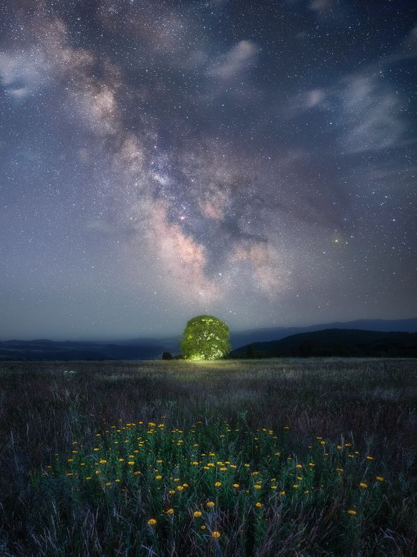 In the middle of nowherephoto preview