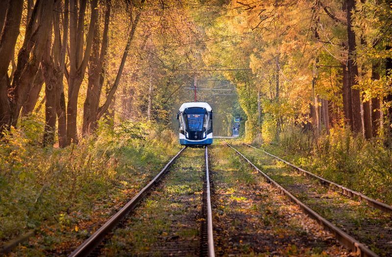трамвай, измайлово, tram, нд, город москва, моя москва, осень, что такое осень? Следующая остановка - осень...photo preview