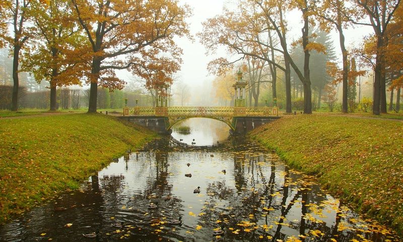 Autumn morningphoto preview