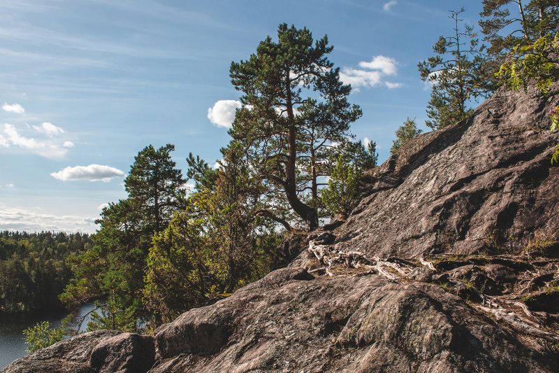 Ленобласть, Карелия, озеро Ястребиное Сквозь камниphoto preview