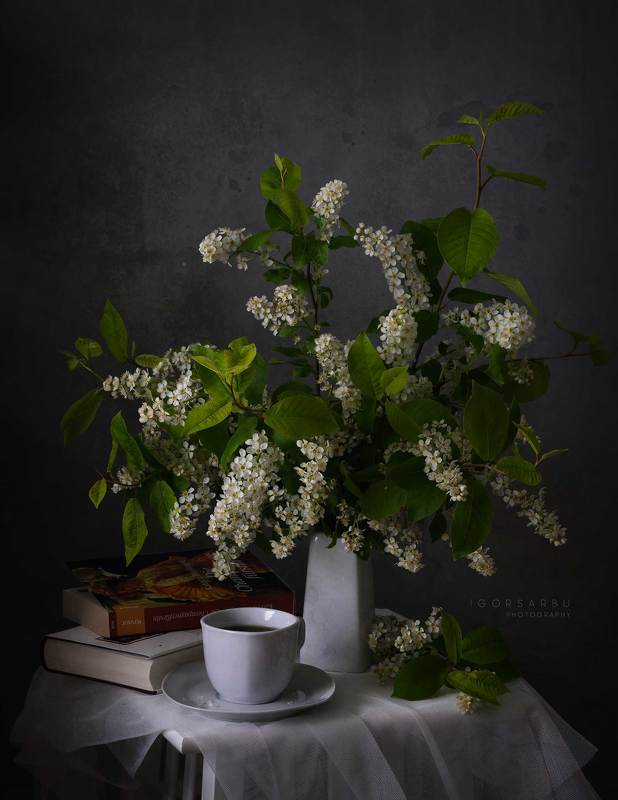 Morning coffephoto preview