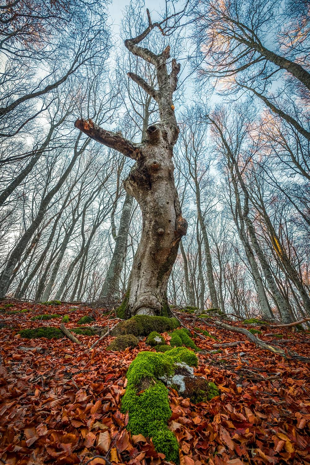 , Игорь Кляхин